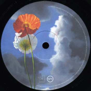 LP Blake Mills: Look
