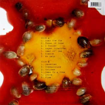 LP Blind Melon: Blind Melon