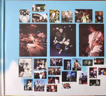 LP Blink-182: Buddha CLR | LTD