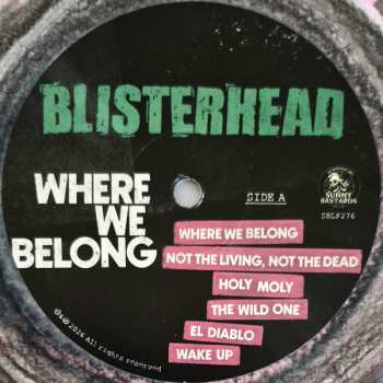LP Blisterhead: Where We Belong CLR | LTD