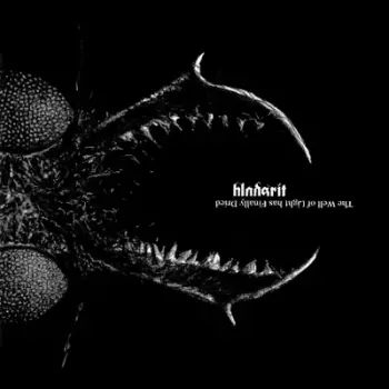 Blodsrit: The Well Of Light Has Finally Dried