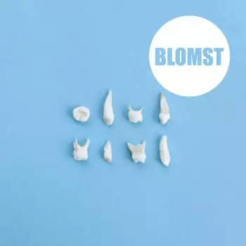 Blomst: Blomst