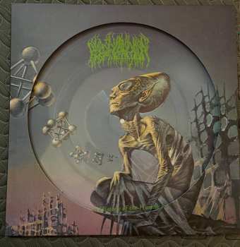 LP Blood Incantation: Hidden History of the Human Race LTD | PIC