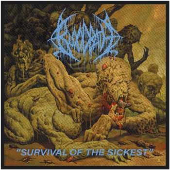 Merch Bloodbath: Patch Survival Of The Sickest