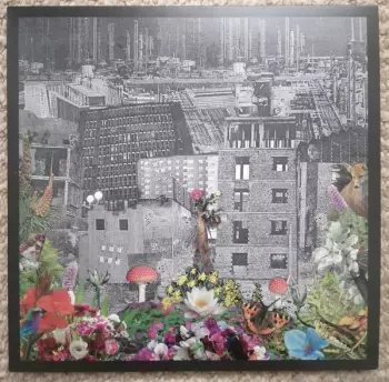 Perpetual Eden