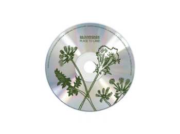 CD Bloomsday: Place To Land