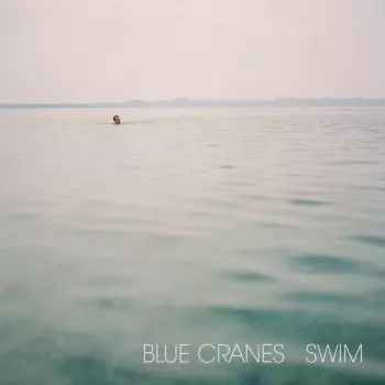 Blue Cranes: Swim