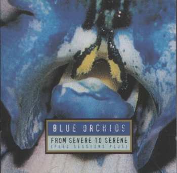 CD Blue Orchids: From Severe To Serene (Peel Sessions Plus)