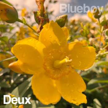 Album Blueboy: Deux