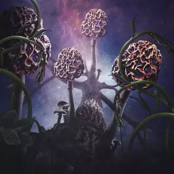 Blut Aus Nord: Hallucinogen
