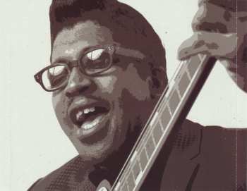 2CD Bo Diddley: Diddley Daddy: The Collection