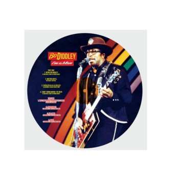 LP Bo Diddley: I'm A Man - Live '84