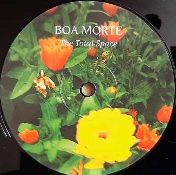 LP Boa Morte: The Total Space