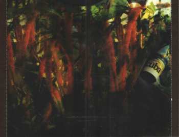 CD Bob Neuwirth: Havana Midnight