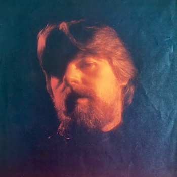 LP Bob Seger And The Silver Bullet Band: The Distance