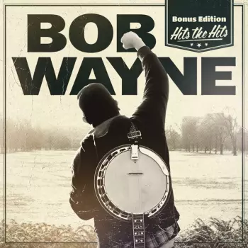 Bob Wayne: Hits The Hits