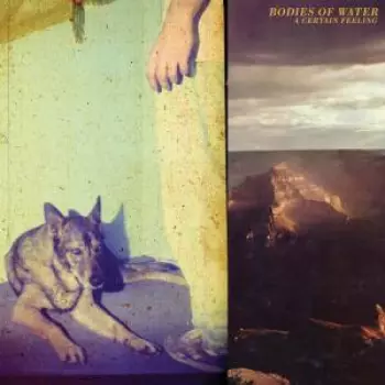 Bodies Of Water: A Certain Feeling
