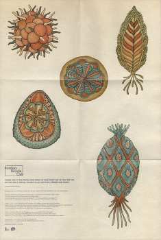 CD Bombay Bicycle Club: A Different Kind Of Fix