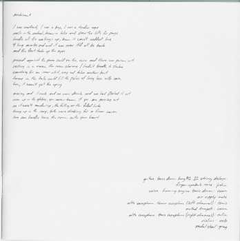 LP Bon Iver: Bon Iver, Bon Iver