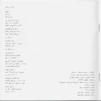 LP Bon Iver: Bon Iver, Bon Iver