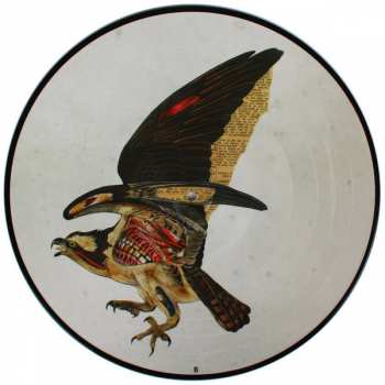 2LP Clutch: Book Of Bad Decisions LTD | PIC