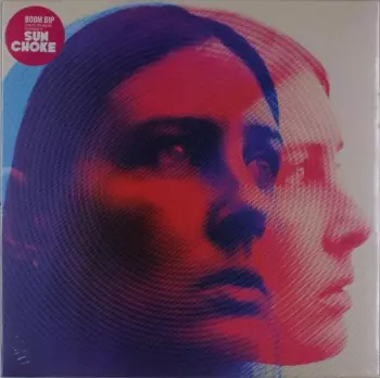 Boom Bip: Sun Choke