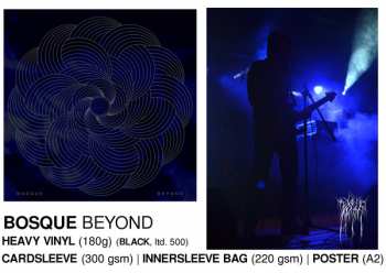 LP Bosque: Beyond LTD