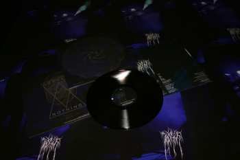 LP Bosque: Beyond LTD