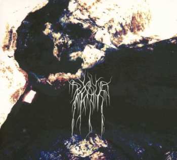 CD Bosque: Beyond