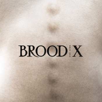CD Boss Hog: Brood X