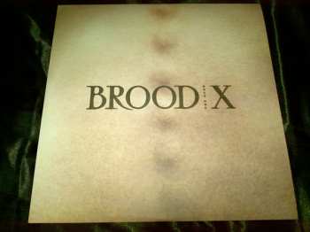 LP Boss Hog: Brood X