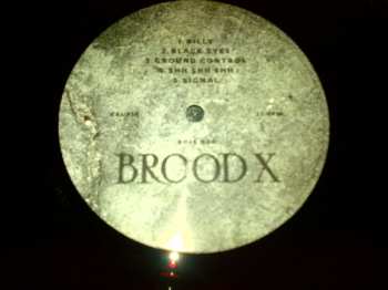 LP Boss Hog: Brood X