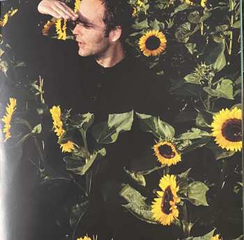 CD Bosse: Sunnyside