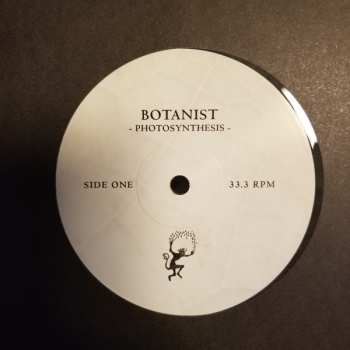 LP Botanist: Photosynthesis
