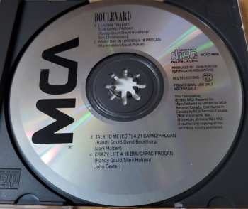CD Boulevard: New Music From Into The Street