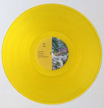 LP Bowman Trio: Persistence CLR | LTD
