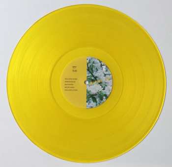LP Bowman Trio: Persistence CLR | LTD
