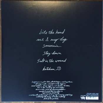LP Boygenius: Boygenius