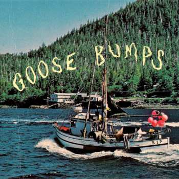 Album Boyscott: Goose Bumps