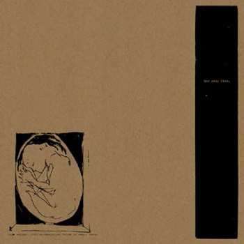 Album Boysetsfire: This Crying, This Screaming, My Voice Is Being Born.