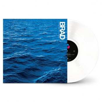 LP Brad: In The Moment That You're Born CLR