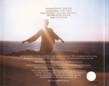 CD Brad Shepik: The Well