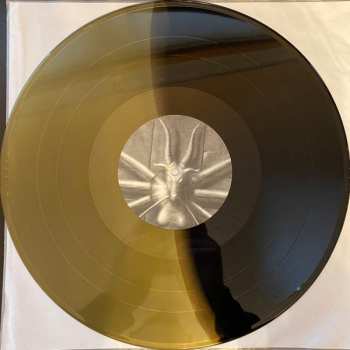LP Brainoil: Brainoil