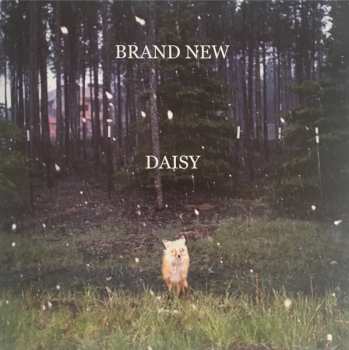 LP Brand New: Daisy