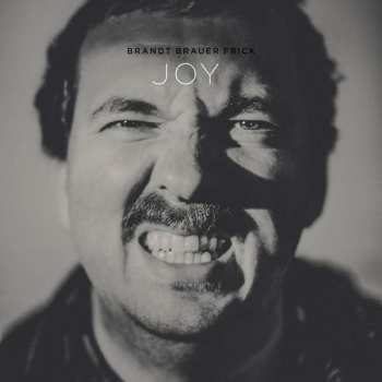 2LP/CD Brandt Brauer Frick: Joy