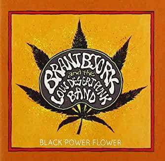 CD Brant Bjork And The Low Desert Punk Band: Black Power Flower