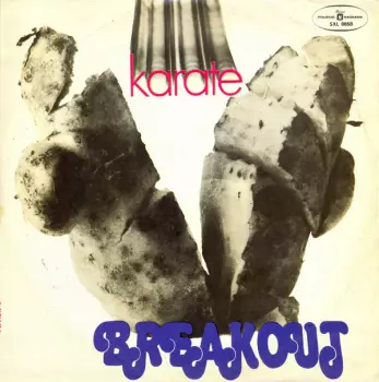 Breakout: Karate