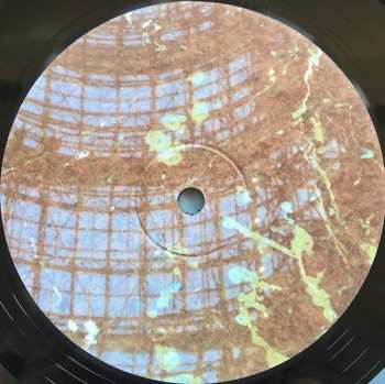 LP Brendon Anderegg: June