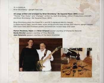 CD Brian Bromberg: Thicker Than Water