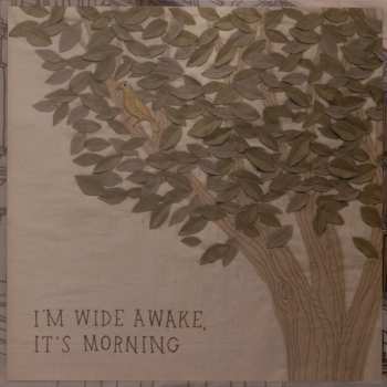 LP Bright Eyes: I'm Wide Awake, It's Morning
